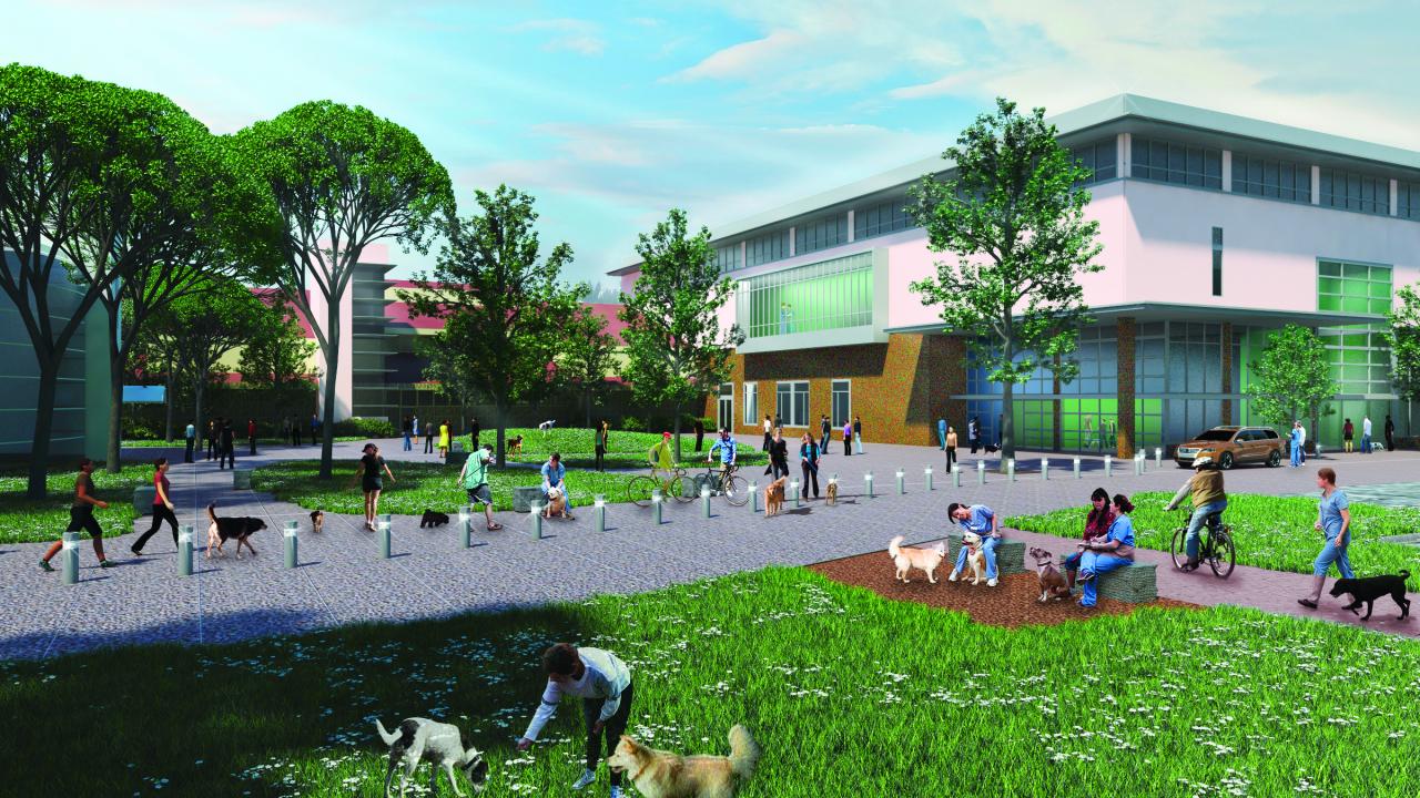 Rendering of proposed small-animal clinic