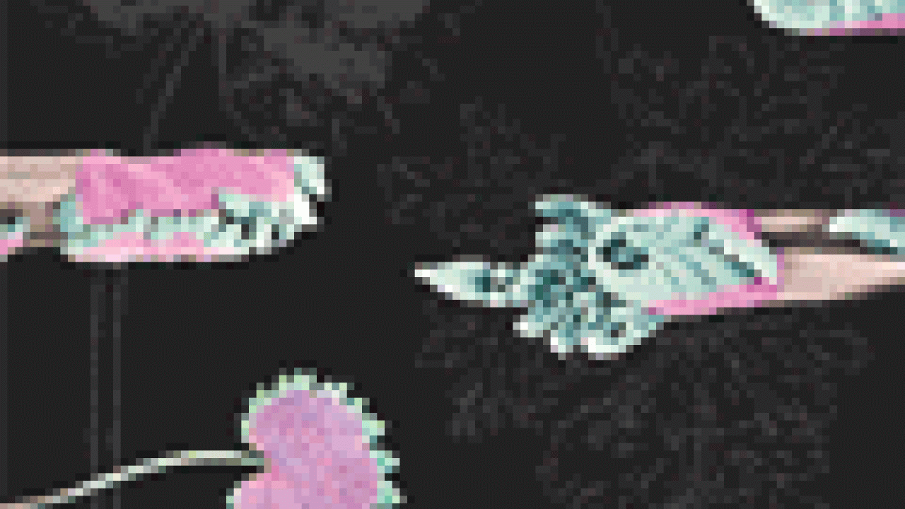 Picture of the Science magazine cover, showing leaves.