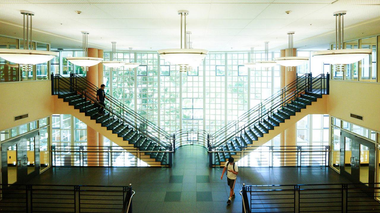 Double staircase against wall of windows in Shields Library