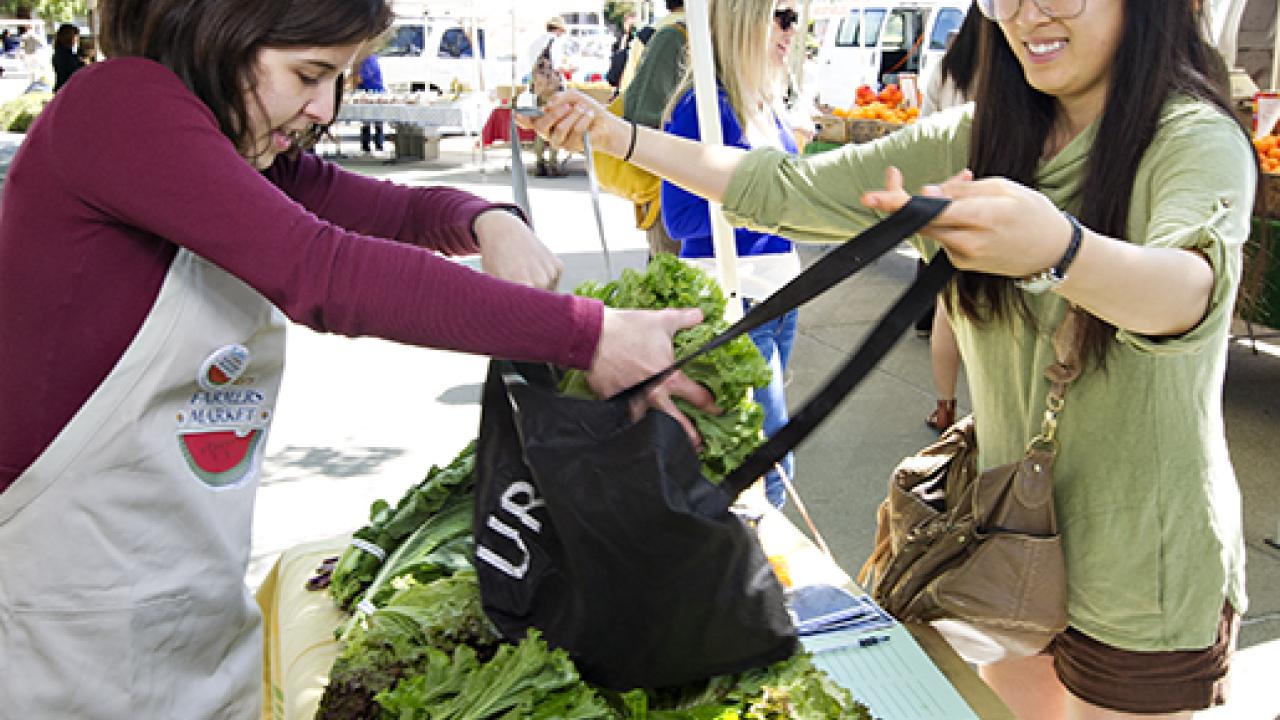 Photo: UC Davis Farmers Market