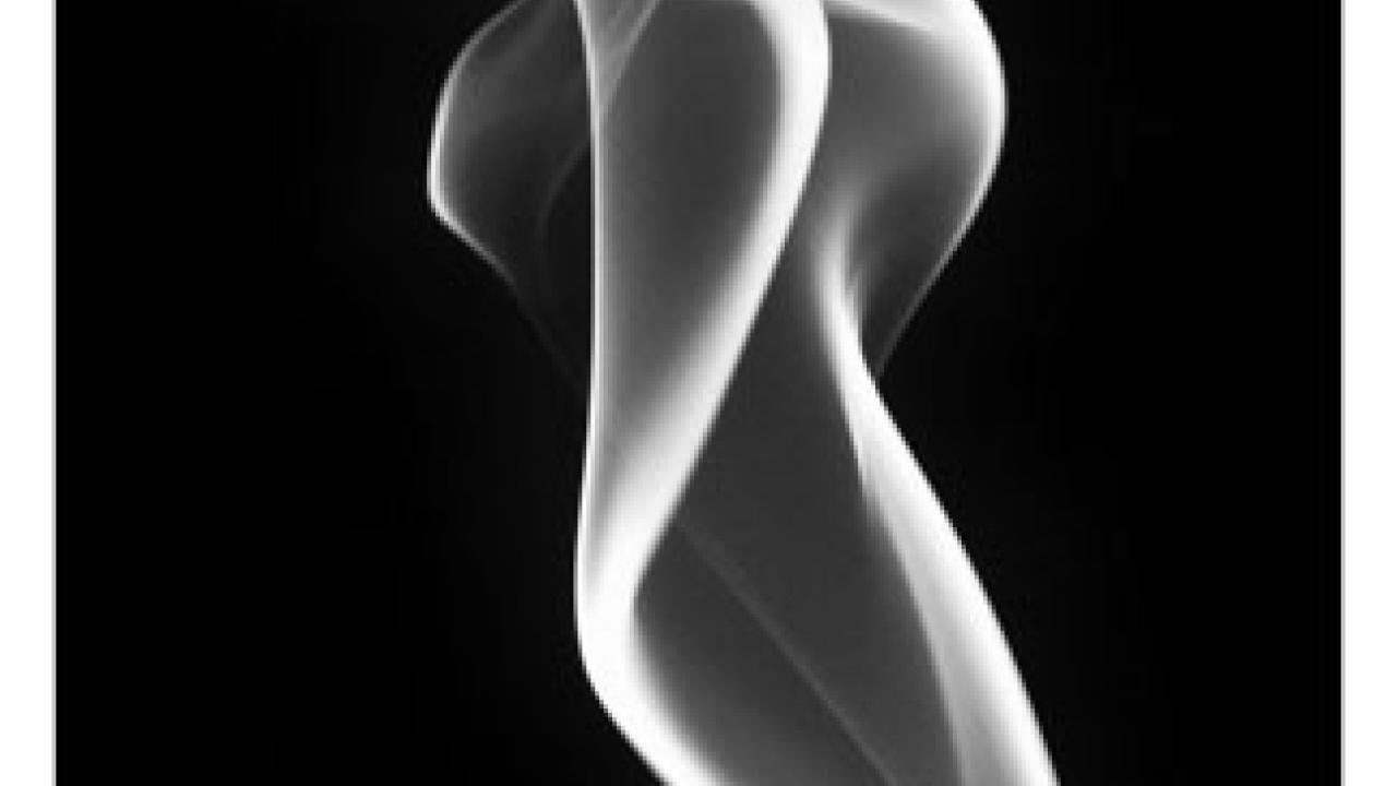 Terry Nathan's Smoke Dance: Where Kant meets Newton, Study 19, 2007, archival digital print