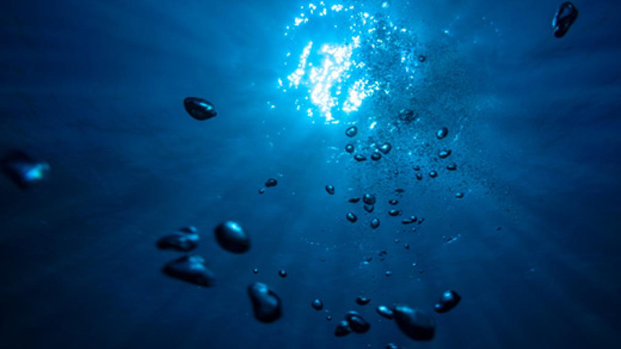 View in ocean looking up with bubbles