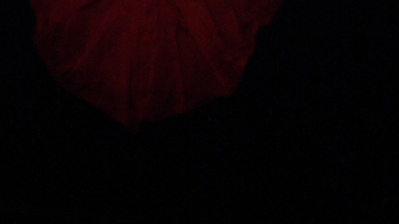 Photo: Christine Germain dances in "and the snow fell softly on all the living and the dead ... ."