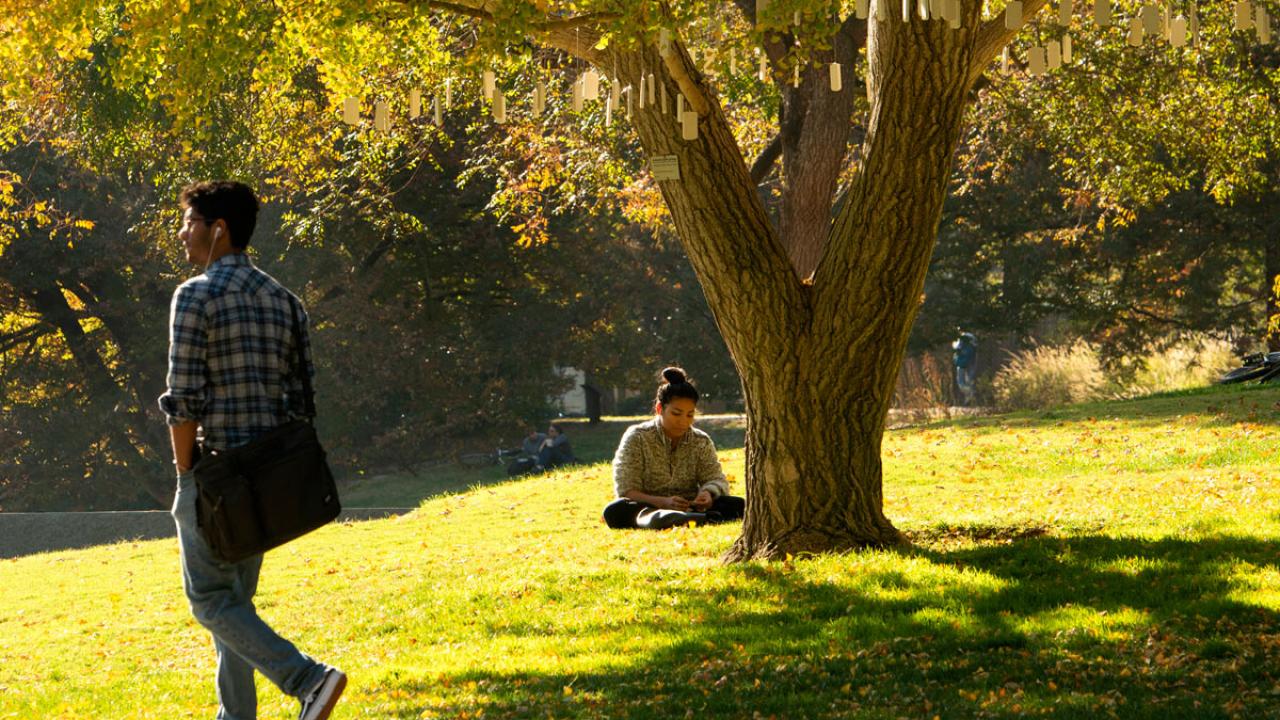 Male walks alone under tree in the Arboretum.
