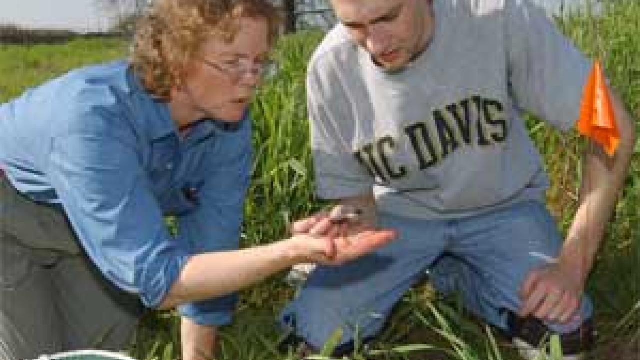 Photo: woman on grass talking