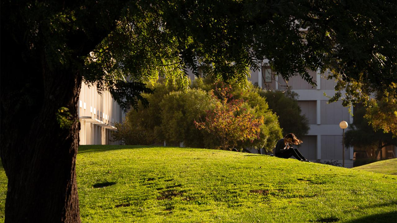 A student reads on a grassy hill at UC Davis.