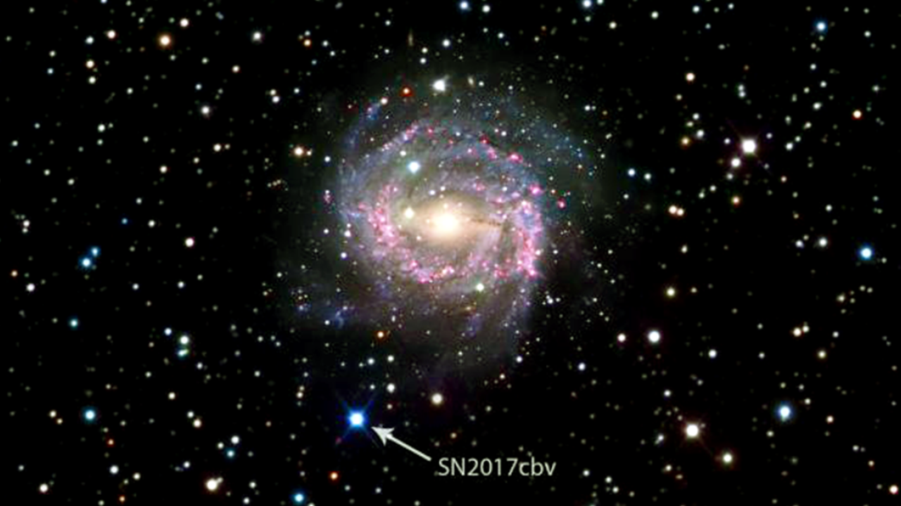 Supernova 2017cbv, on the outskirts of the spiral galaxy NGC 5643. Data are from the Las Cumbres Observatory Global Supernova Pr