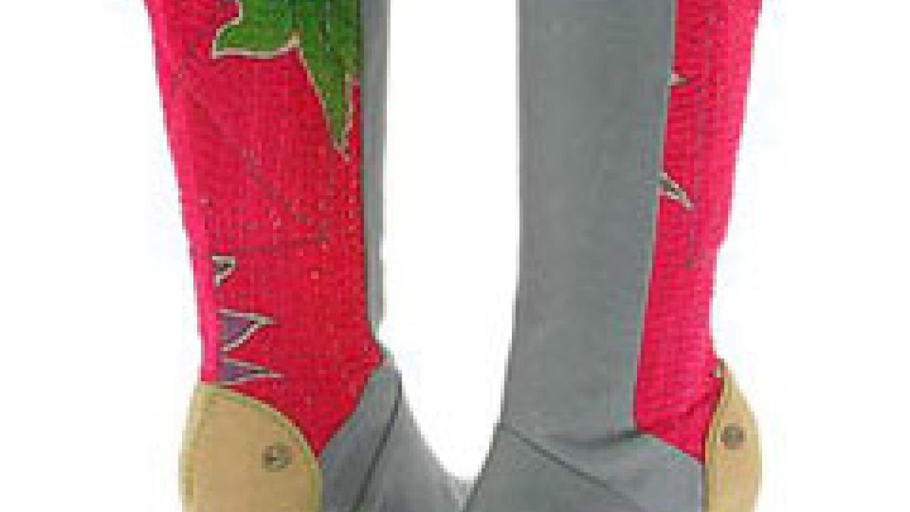 Photo: Pair of colorful boots