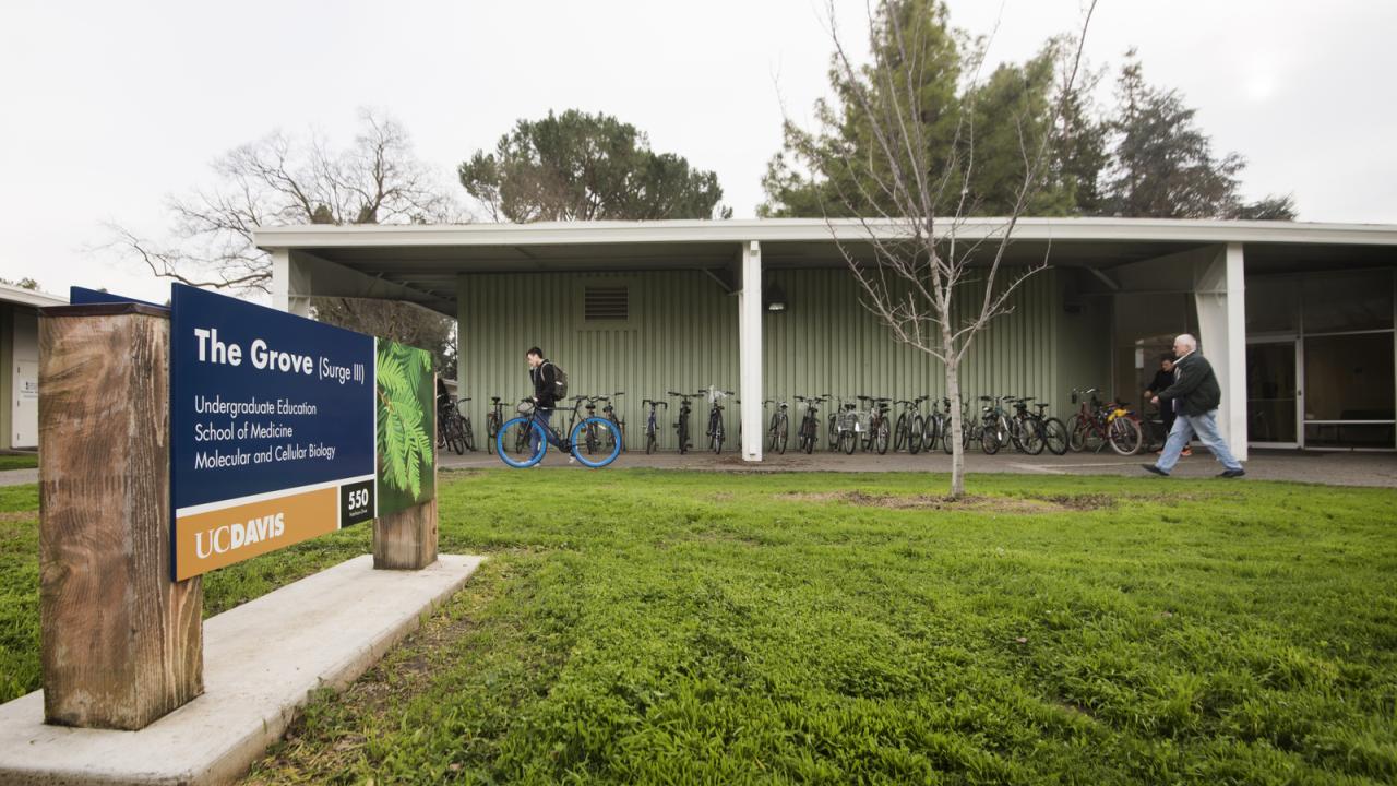 Students walk past The Grove, formerly Surge III.