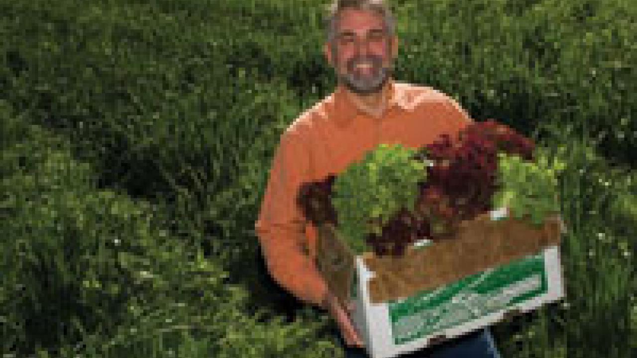 The well-traveled Tom Tomich holds a box of lettuce at the UC Davis Student Experimental Farm.

