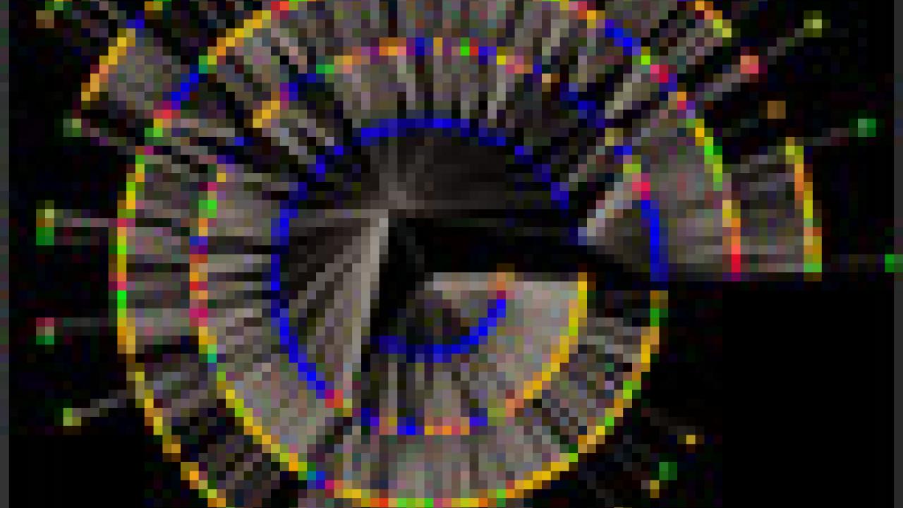 graphic: concentric circles  with colored bars