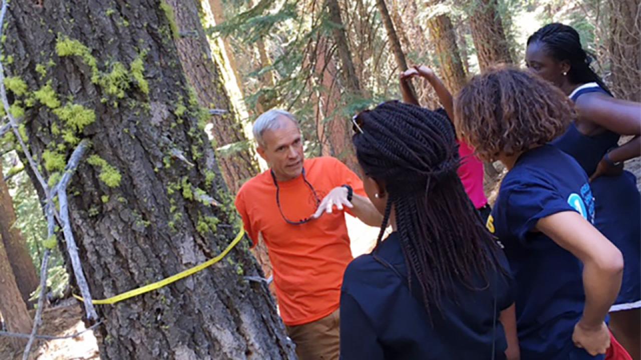 A man beside a tree lectures to onlooking fellows.