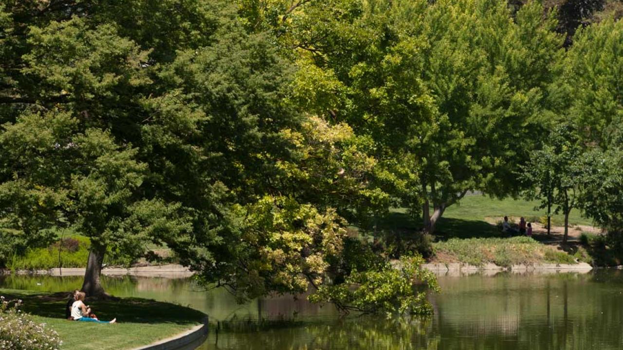 UC Davis Arboretum