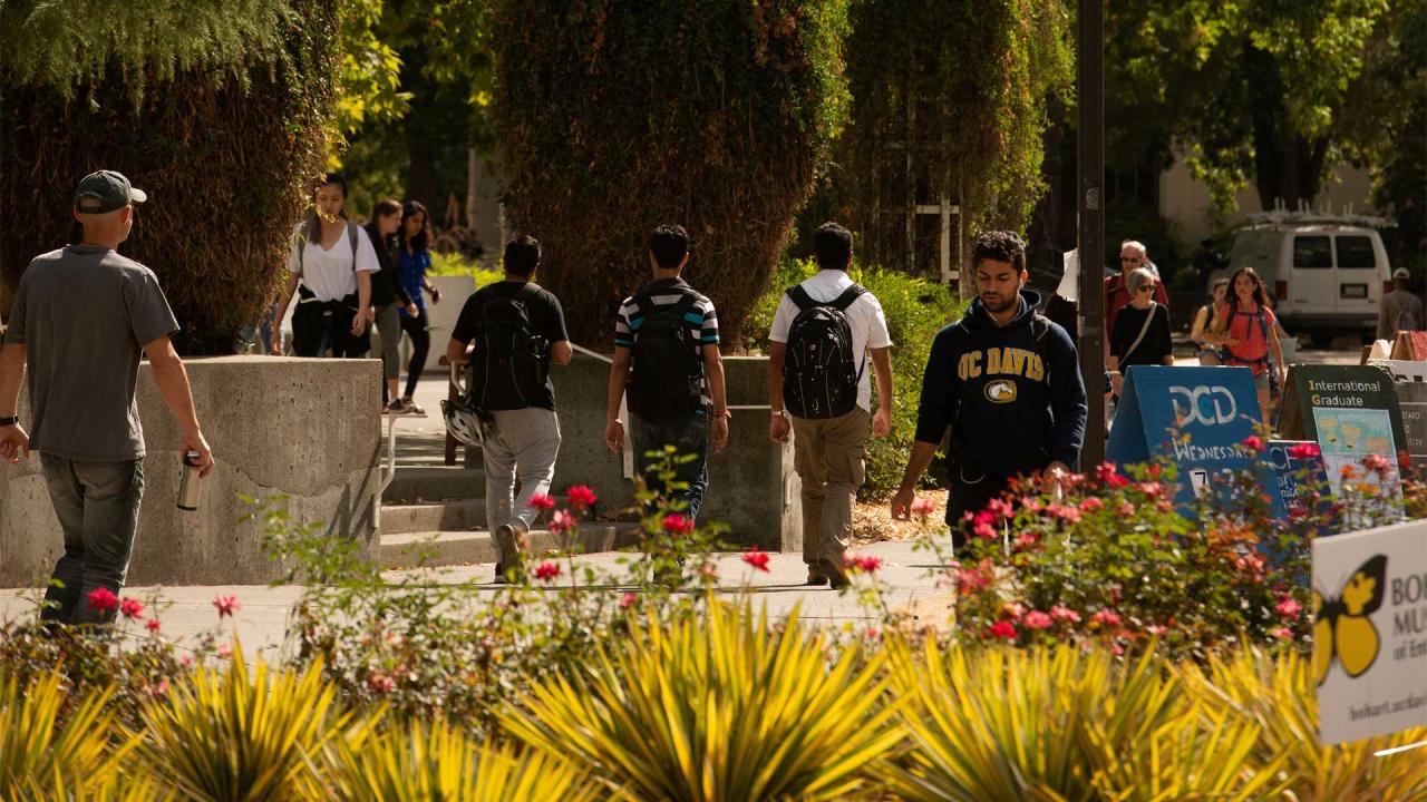 UC Davis Library External