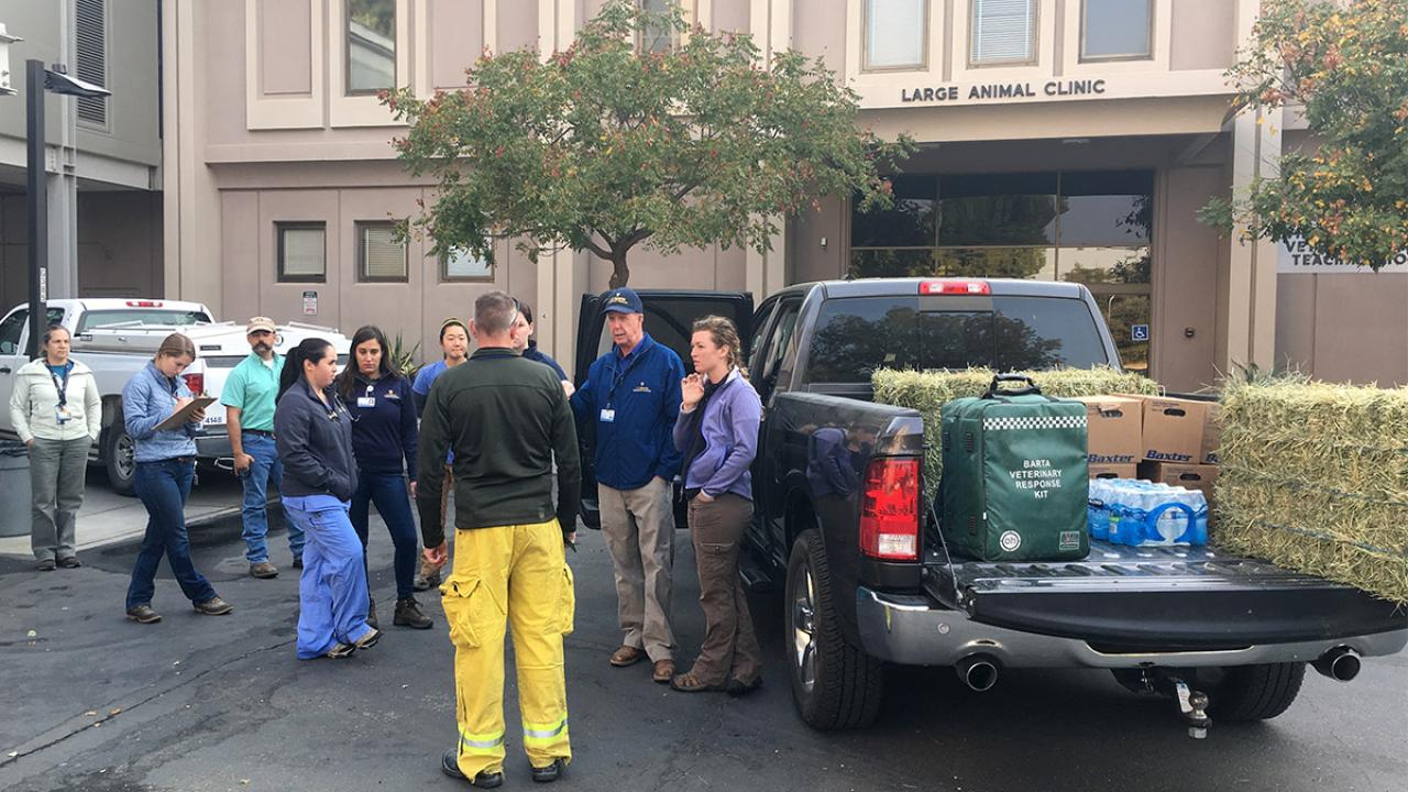 A Veterinary Medicine team prepares to leave