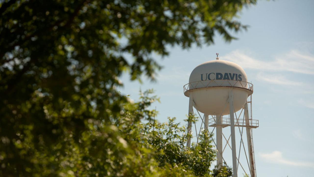UC Davis water tower framed by greenery