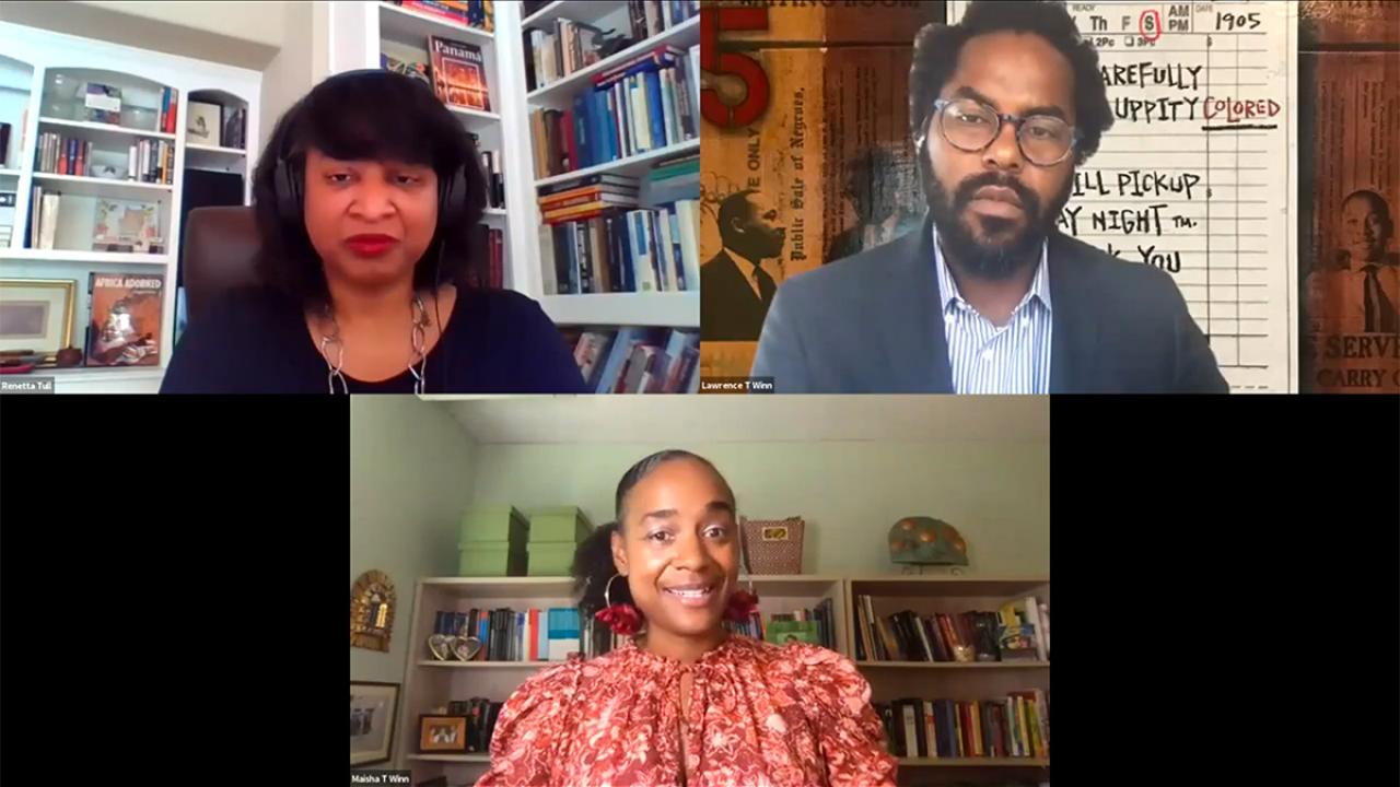 Webinar with three panelists