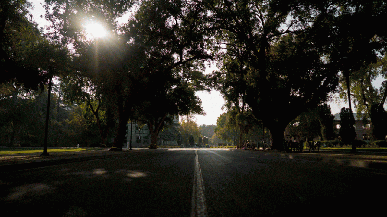 No one on the street, Tuesday morning, Nov. 20, 2018.