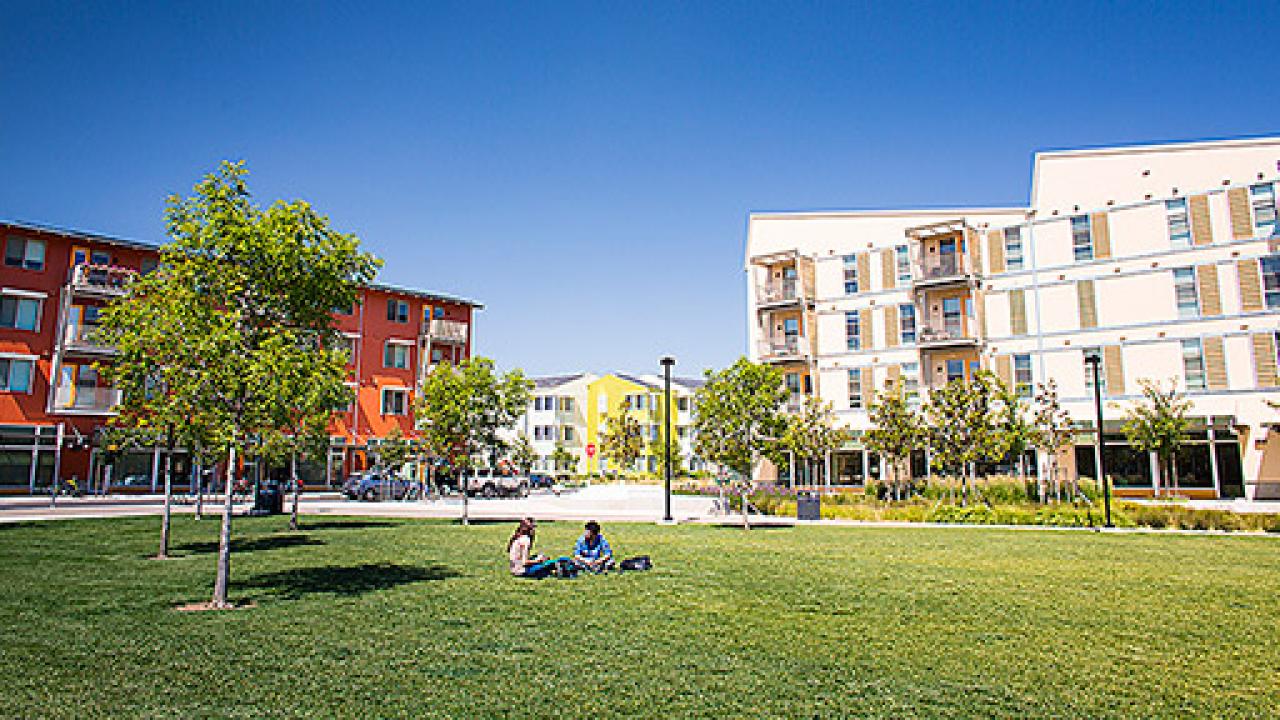 A view of West Village apartments from the lawn