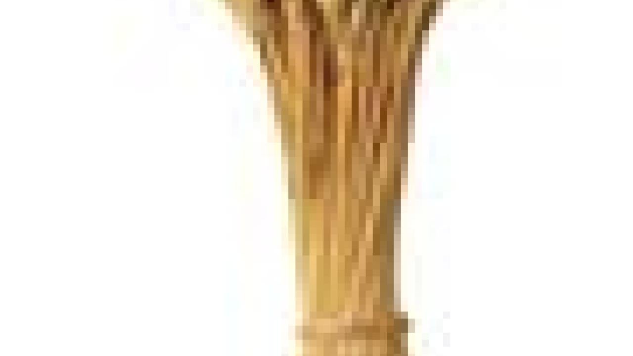 Photo: shock of wheat