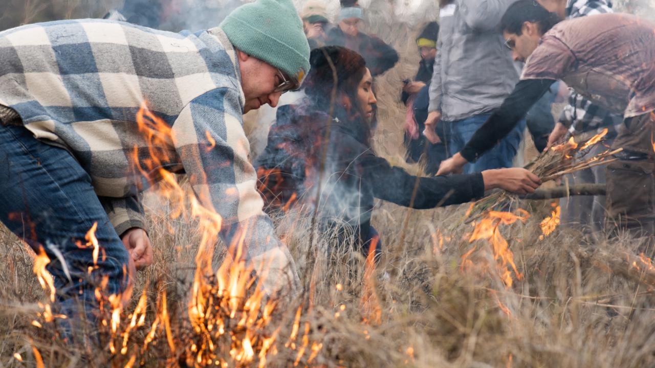 Men and women in jackets light field of deergrass on fire as part of cultural burn in California.