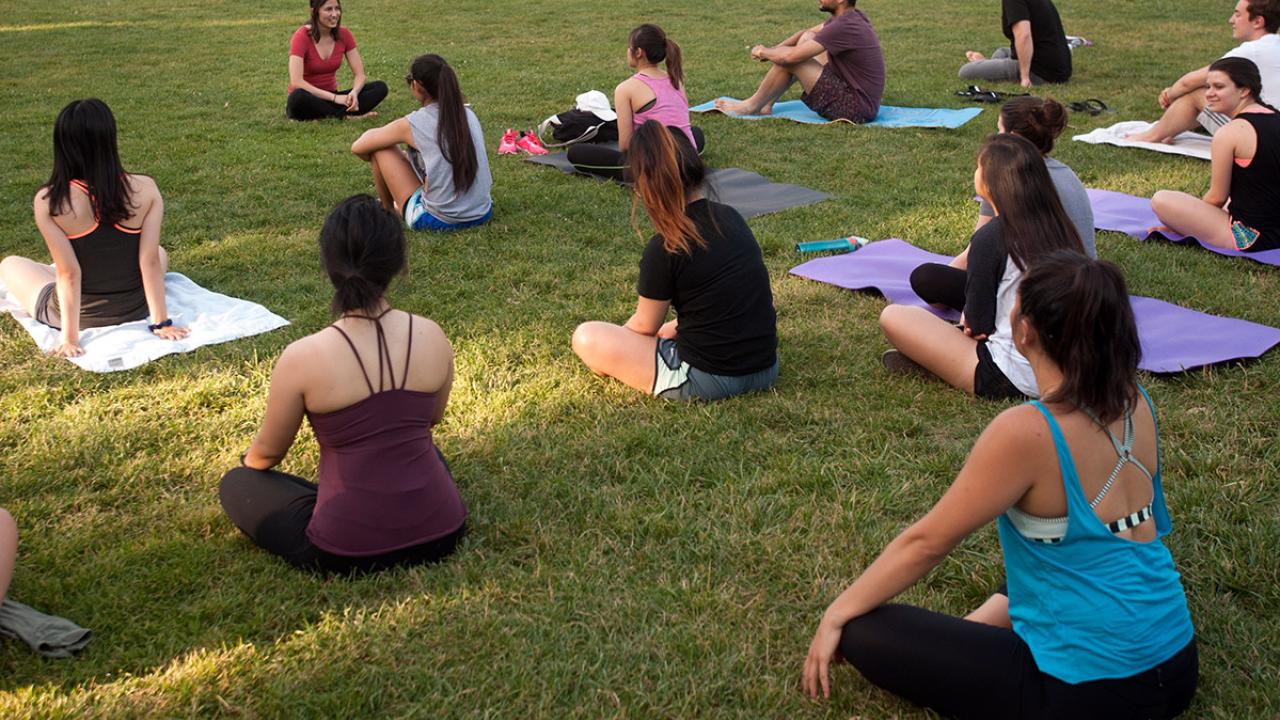 A group does yoga on the Quad at UC Davis.