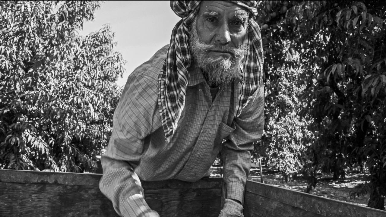 Black and white photo of farm worker in field, part of Library exhibition