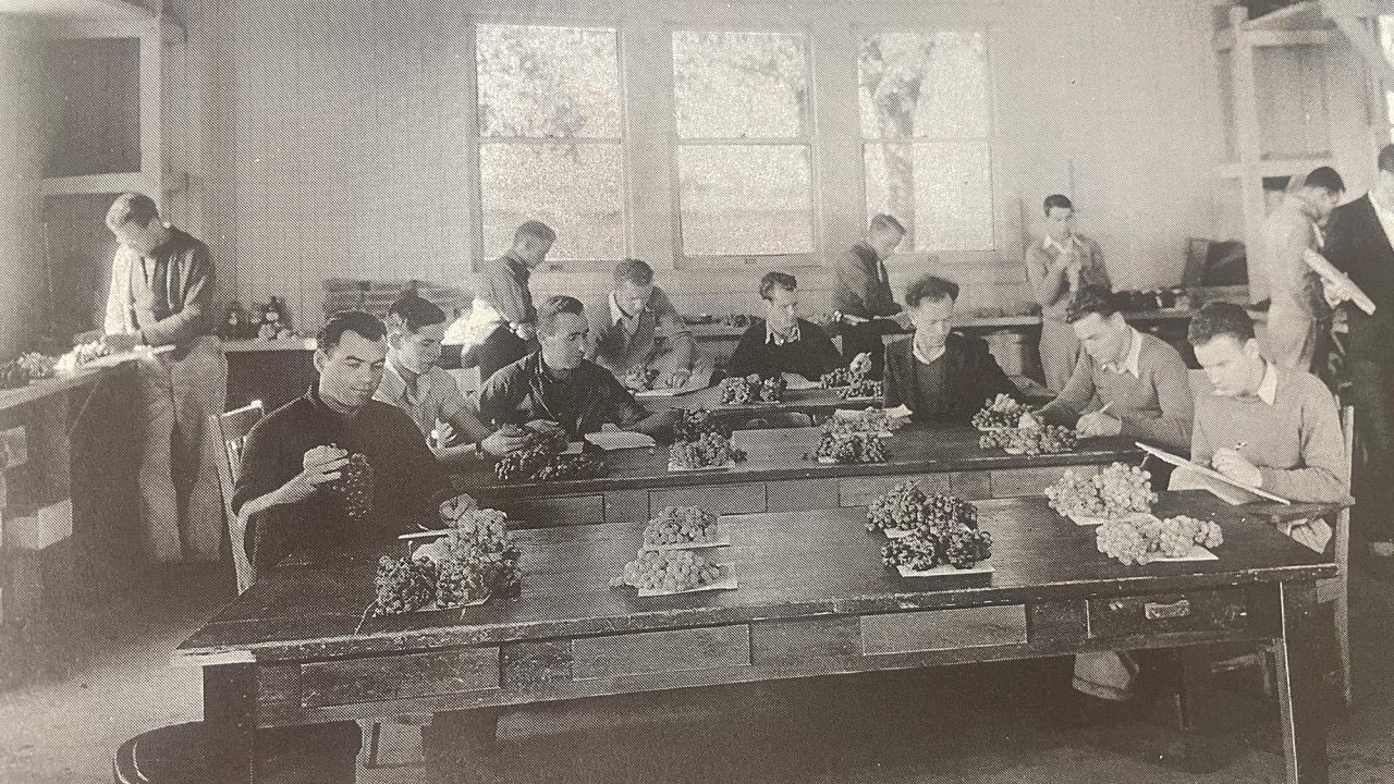 Historical photo of a classroom at UC Davis in 1925