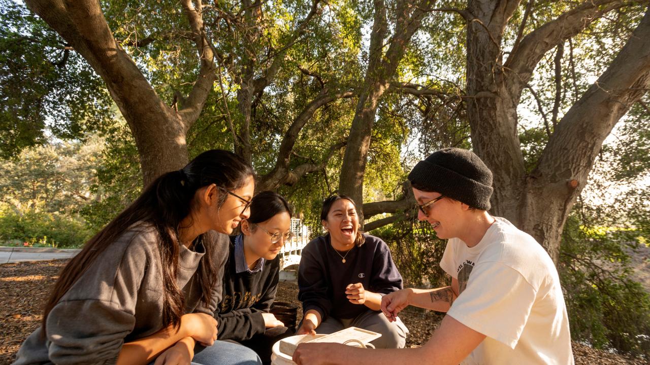 Students laugh under a tree at UC Davis. 