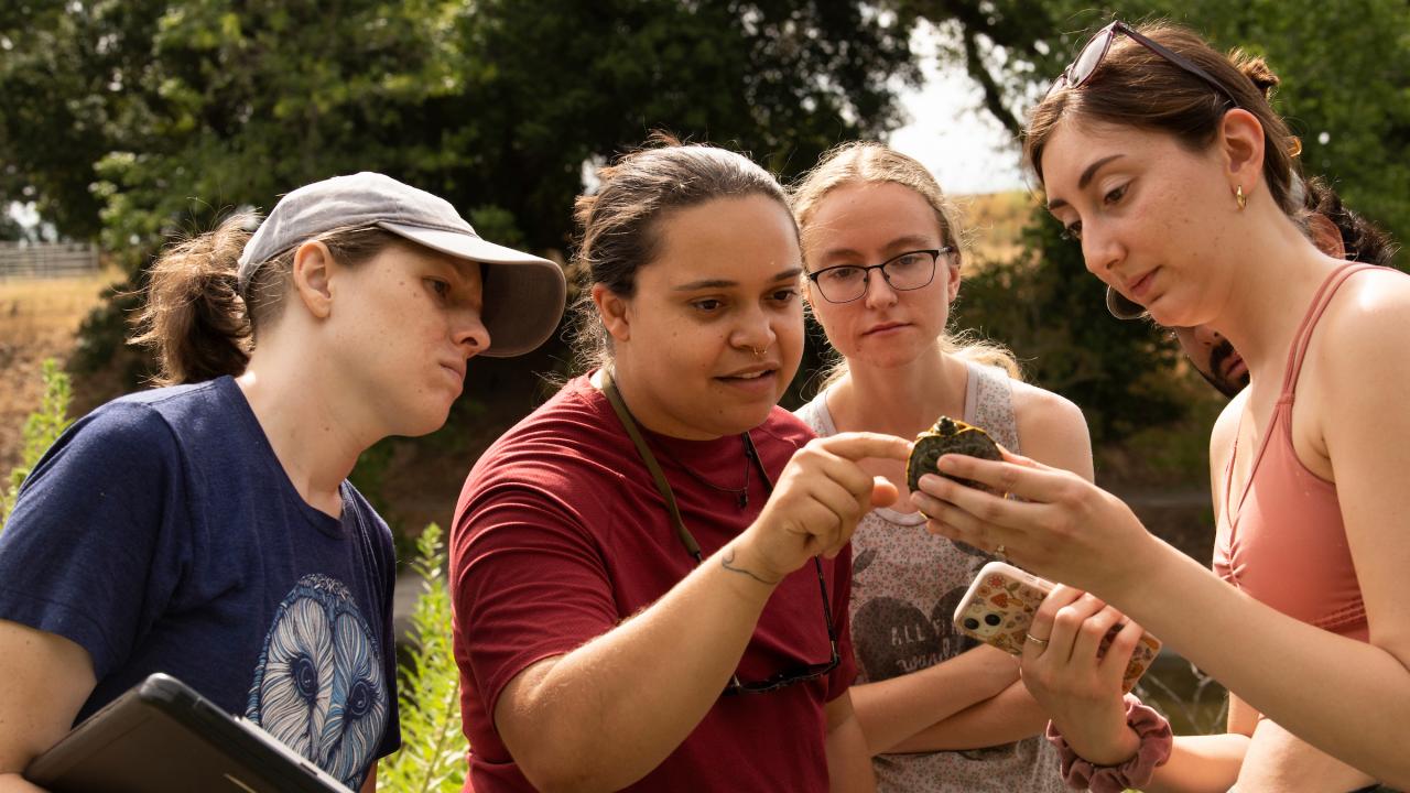 Graduate and undergraduate students look at the bottom of a turtle outside. 
