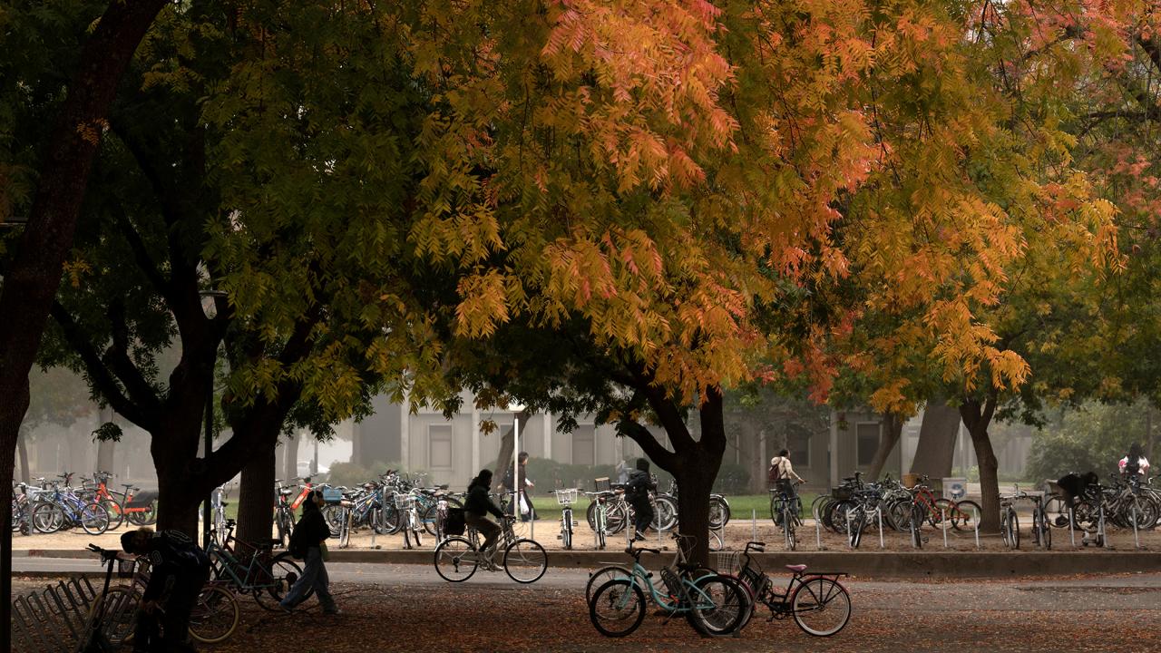 Students walk  and ride to Olson Hall as autumn turns the colors of the trees to yellow, red, and orange.