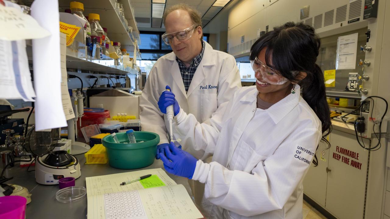 A doctor and a student, both wearing goggles, work with substances in a lab setting