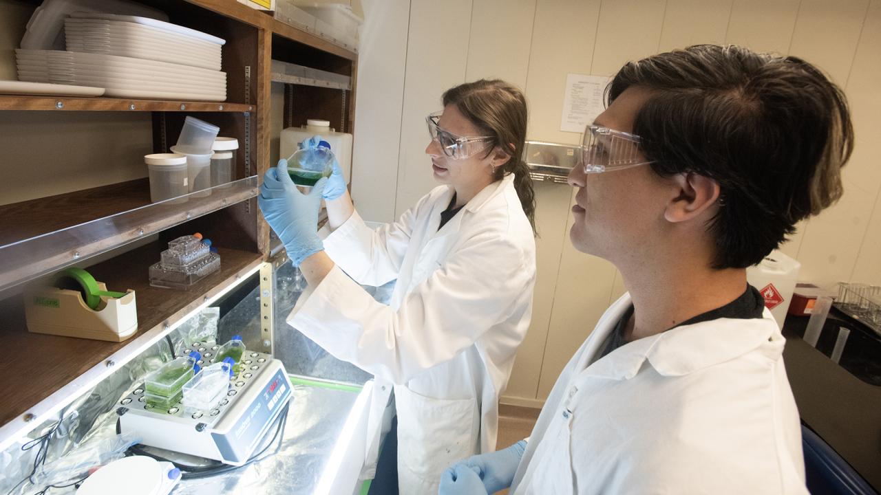 two students doing research at a lab