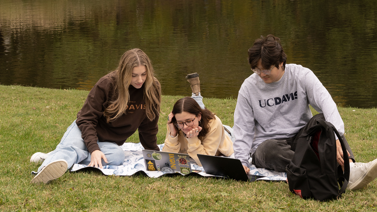 Three students, two wearing UC Davis sweatshirts, gather around their laptop computers on the grass with water visible behind them