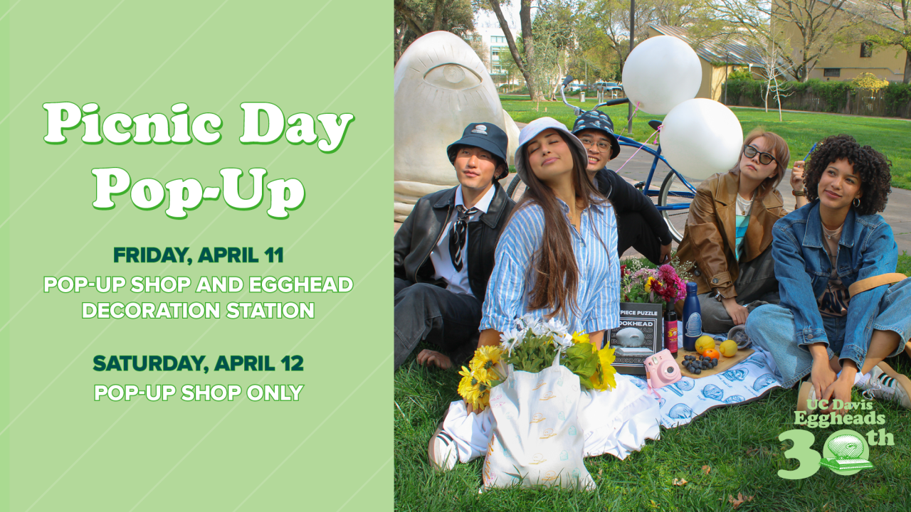 a digital landscape flier is divided into two section. in one section, a green background features white text that reads PICNIC DAY POP-UP. On the right side is a group photo of student models having a picnic wearing clothing featuring the artwork of Robert Arneson's Egghead-shaped sculptures.
