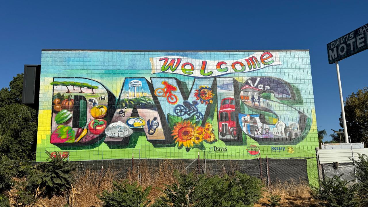 mural of Welcome to Davis on wall, multiple colors