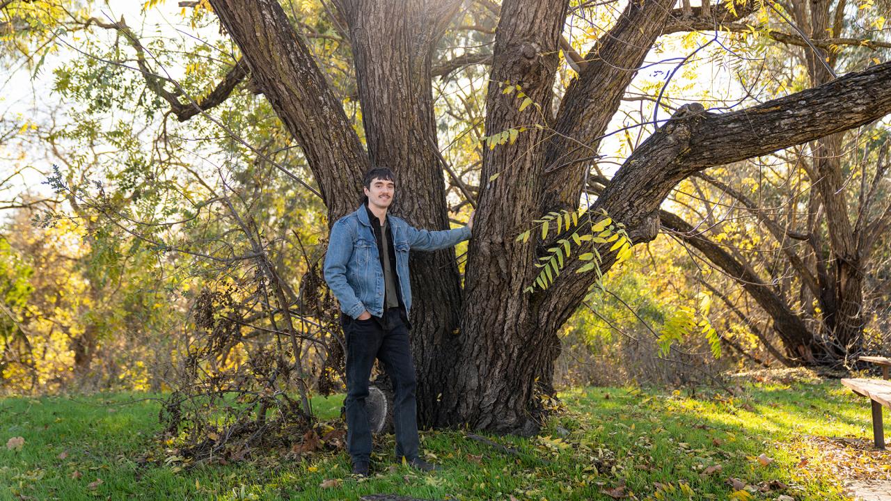 A man wearing a denim jacket and dark pants stands under a large tree with multiple spreading limbs. 