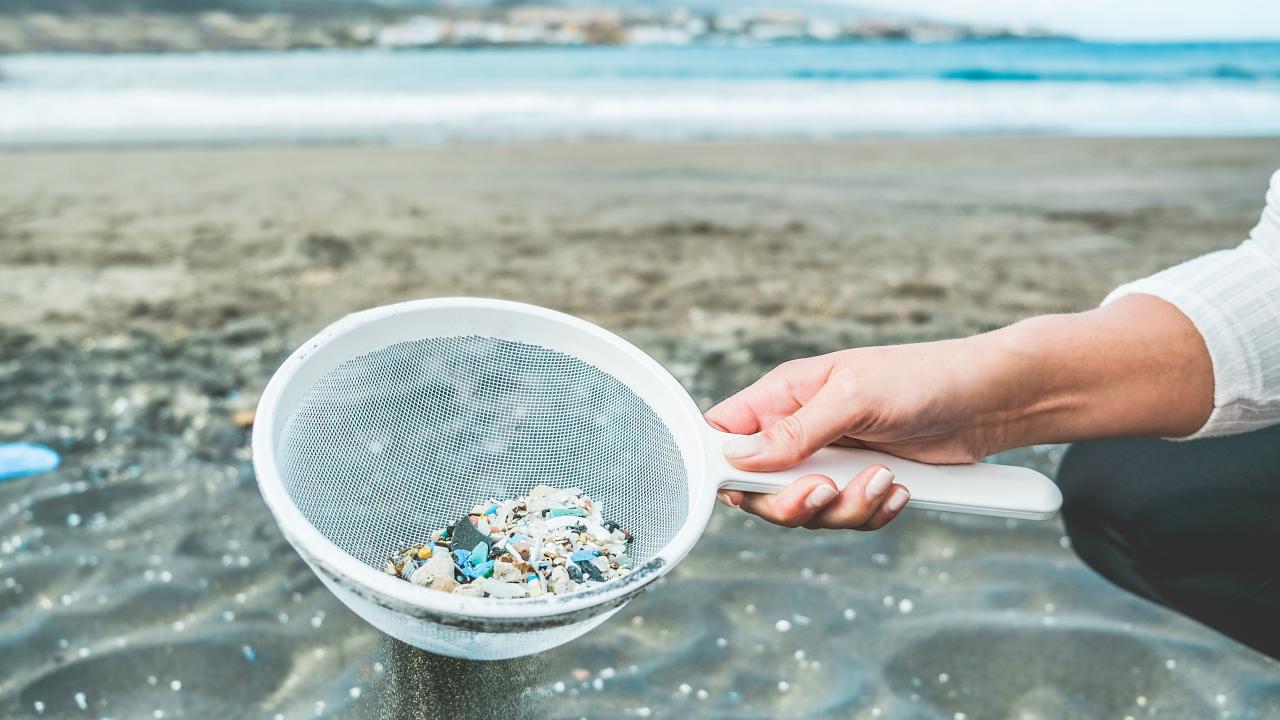Hand of young woman uses sieve to collect microplastic at ocean beach