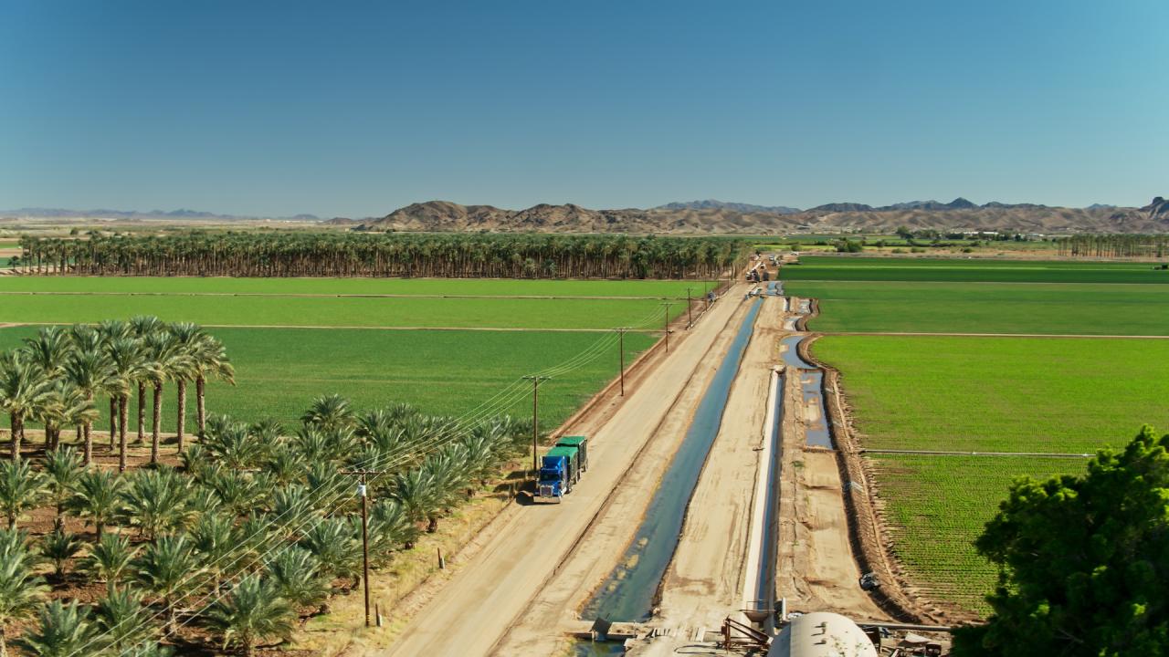 l Aerial shot of dirt road surrounded by green winter crops in California's arid Imperial Valley.
