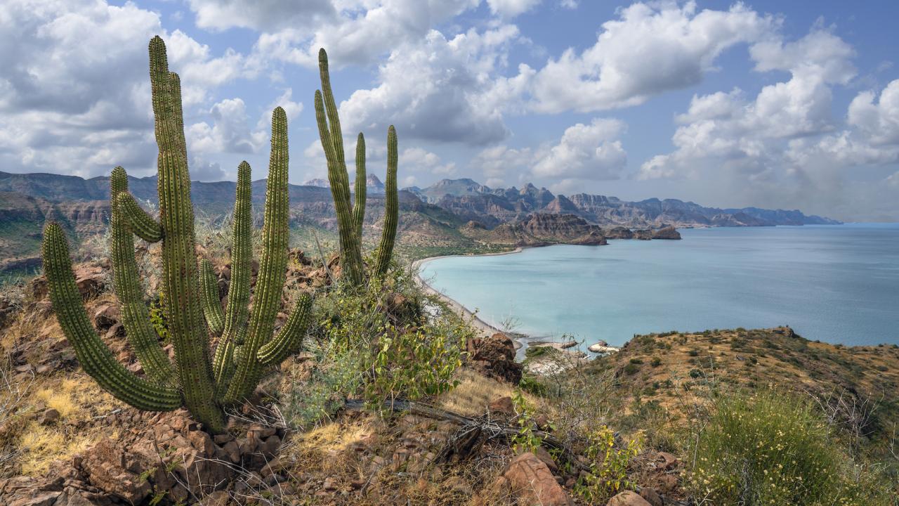 A coastal mountain ranges. rises abruptly out of the Sea of Cortez south of Loreto. Baja California Sur, Mexico.