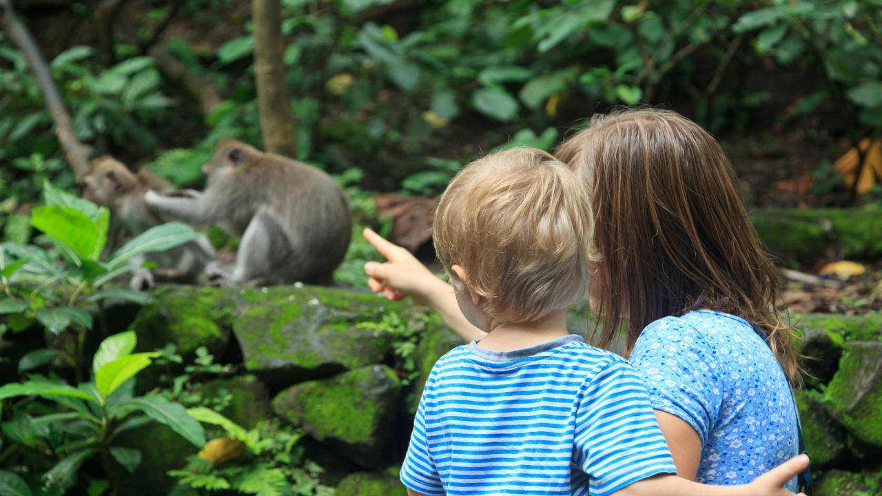 Woman and child view wild primate parent and child among foliage.