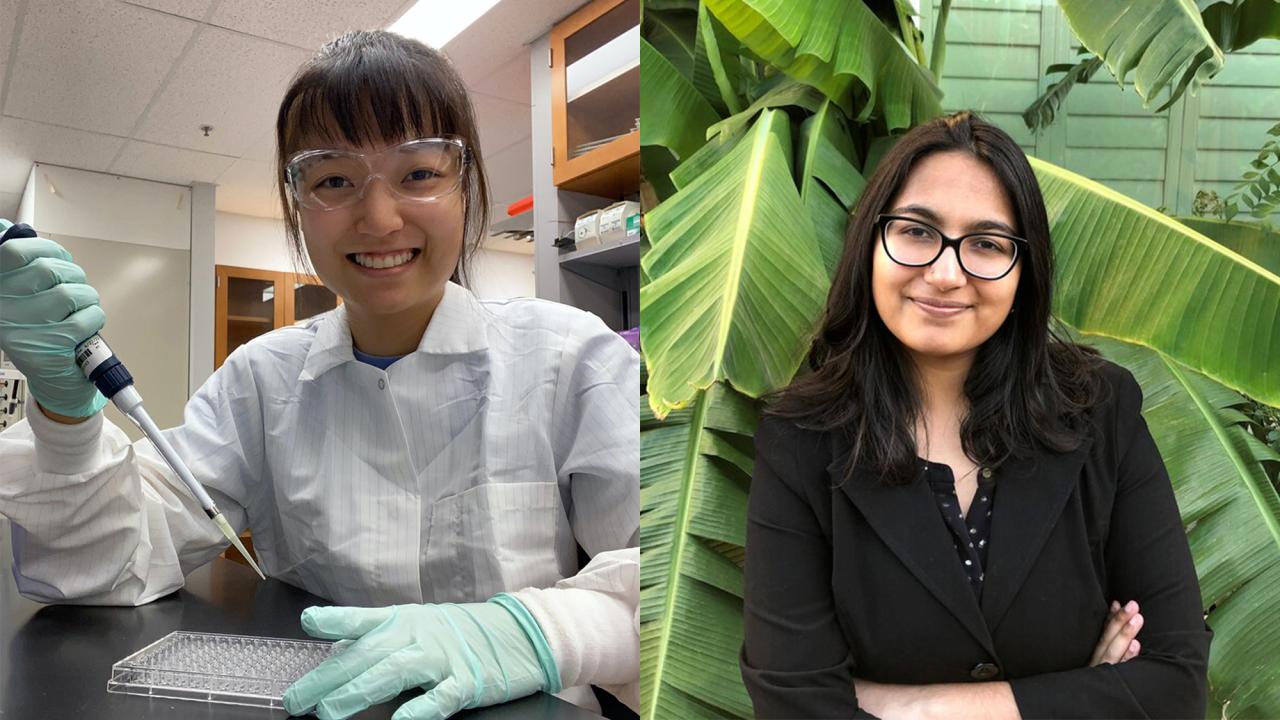 Composite of Keely Ji in lab and Maya Mysore against greenery 