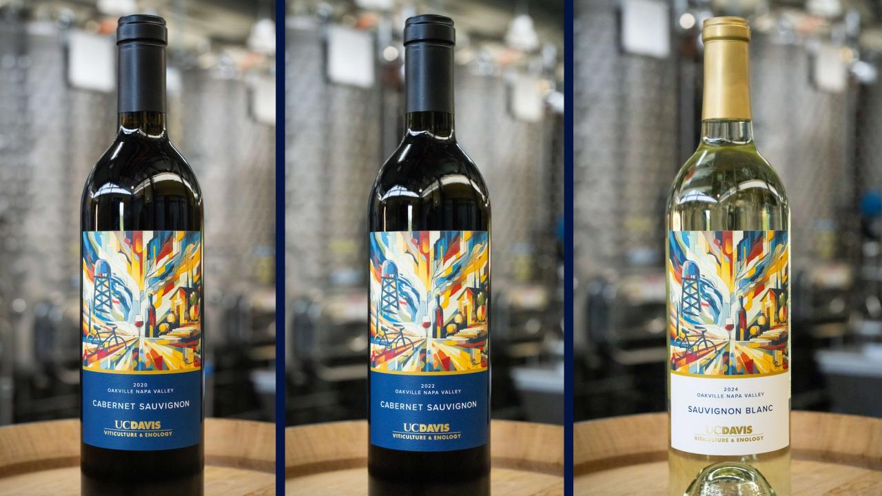 Three wines that are part of the Hilgard631 collection, including two UC Davis cabernet sauvignons and a sauvignon blanc. The wines are on a table and feature multi-colored labels that show the UC Davis water tower and buildings.(Jael Mackendorf / UC Davis)