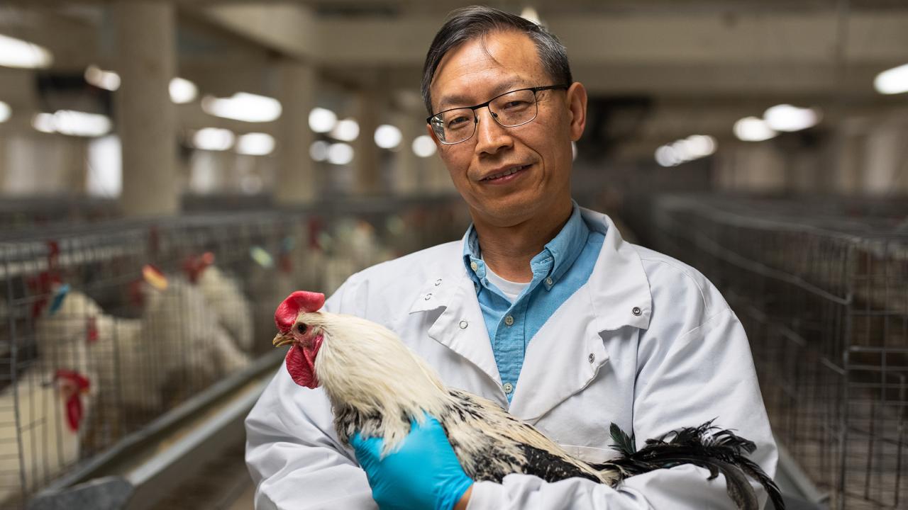 Head and shoulders of a man with glasses and short dark hair cradling a white and black rooster. 