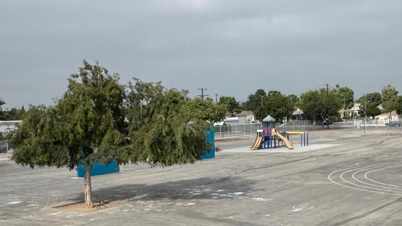 A playground with a play structure on mostly blacktop with one large tree providing some shade
