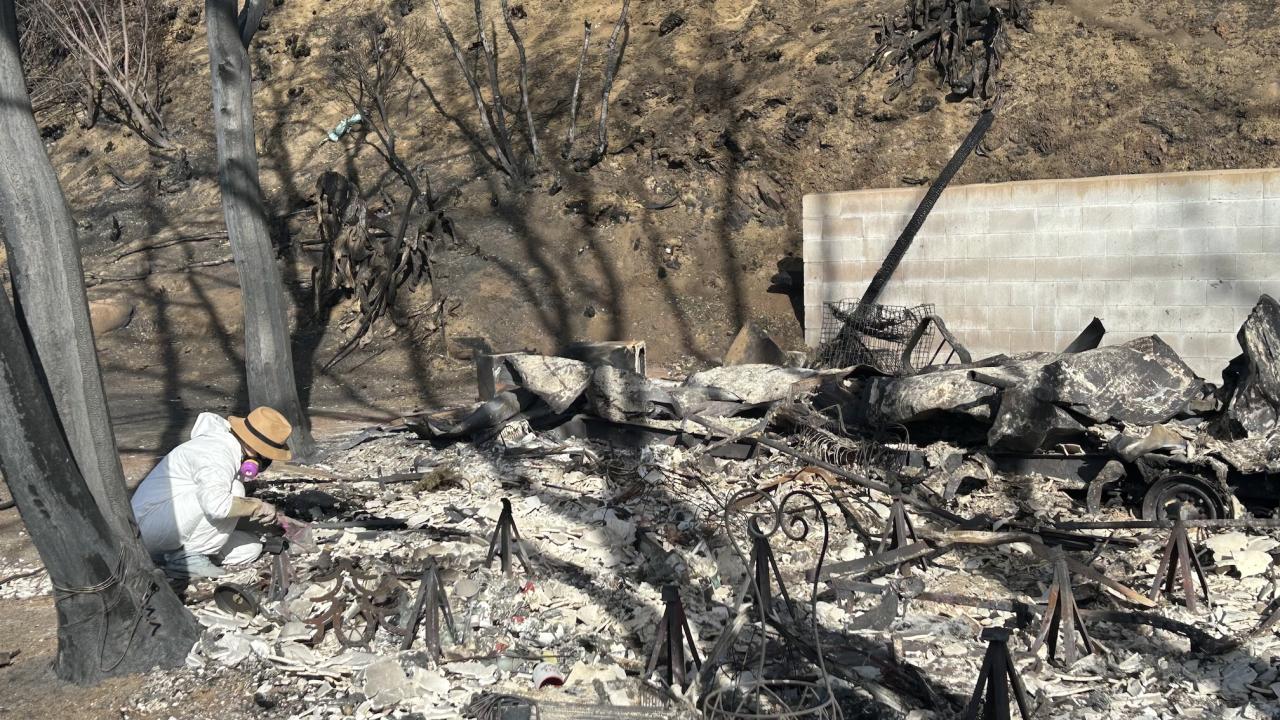 Woman in white protective gear and hat leans over ash remains of house collecting samples in plastic bag. Charred trees stand behind her.