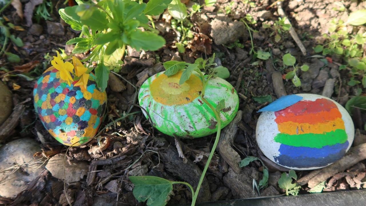 Three painted rocks in the Queer Flower Garden