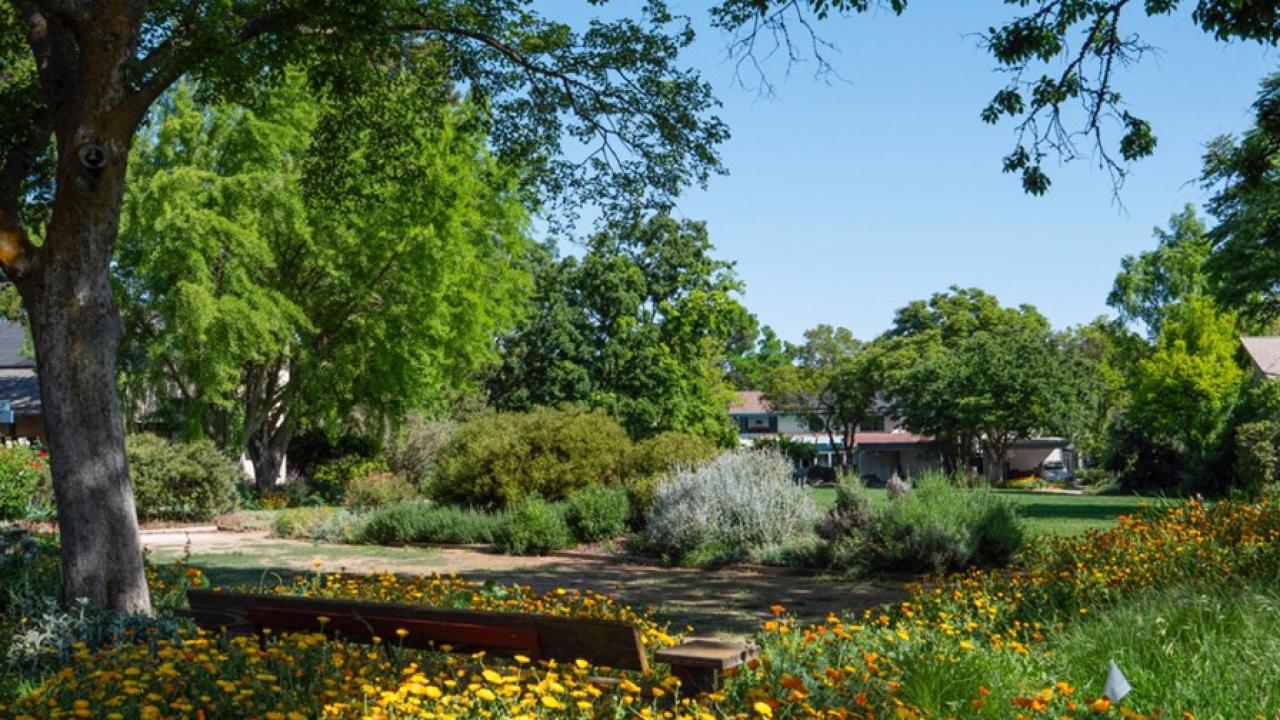Green landscaping with blue sky in background