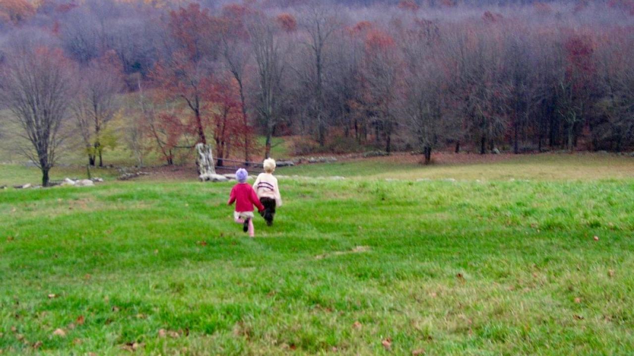 The children of UC Davis Professor Andrew Latimer run down a hill in 2007