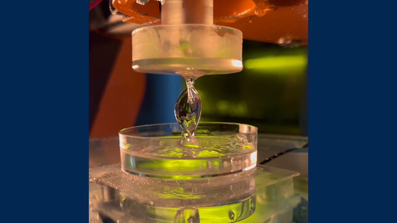 A translucent curved shape above a dish of liquid with some green color below. The image is framed by blue bars. 